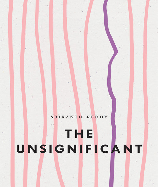The Unsignificant: Three Talks on Poetry and Pictures