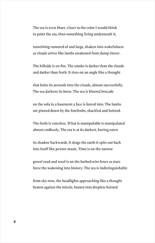 The Problem of the Many, by Timothy Donnelly