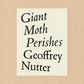 Giant Moth Perishes